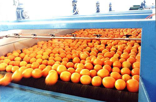 蔬菜拖鏈輸送機